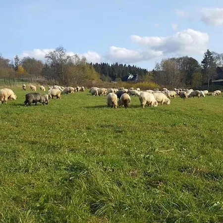 Jagodovo Niezalezne Pietro Z 5 Sypialniami Oraz Jadalnia Na Wylacznosc Kupon Na Termy Goracy Potok Oraz Brama W Gorce * Biały Dunajec