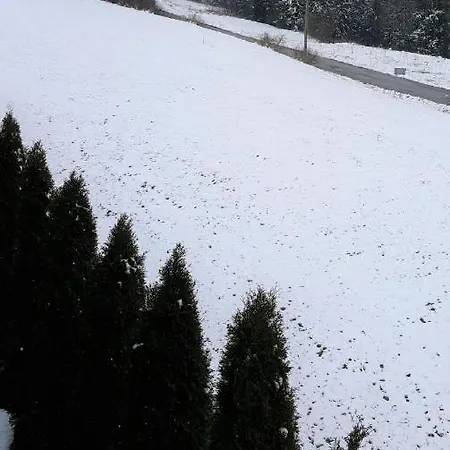 Prázdninový dům Jagodovo Niezalezne Pietro Z 5 Sypialniami Oraz Jadalnia Na Wylacznosc Kupon Na Termy Goracy Potok Oraz Brama W Gorce *